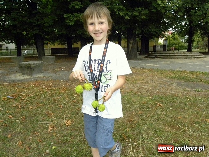 Zdjęcie w galerii na portalu naszraciborz.pl: Na indyjskiej ulicy... wiadomości z regionu