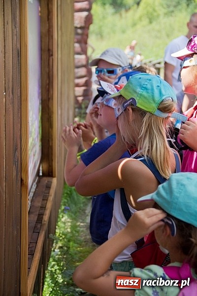 Zdjęcie w galerii na portalu naszraciborz.pl: Półmetek akcji Lato w Studziennej wiadomości z regionu