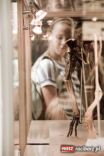 Zdjęcie w galerii na portalu naszraciborz.pl: Półmetek akcji Lato w Studziennej wiadomości z regionu