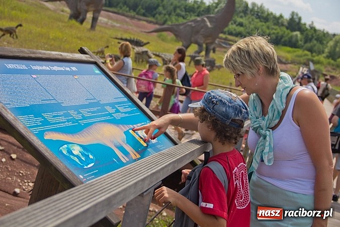 Zdjęcie w galerii na portalu naszraciborz.pl: Półmetek akcji Lato w Studziennej wiadomości z regionu