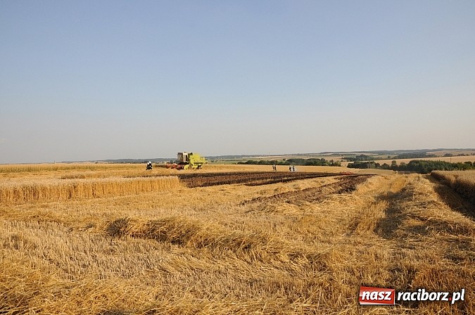 Zdjęcie w galerii na portalu naszraciborz.pl: Pożar w Pietraszynie. Strażacy ratowali zboże wiadomości z regionu