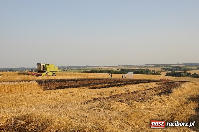 Zdjęcie w galerii na portalu naszraciborz.pl: Pożar w Pietraszynie. Strażacy ratowali zboże wiadomości z regionu