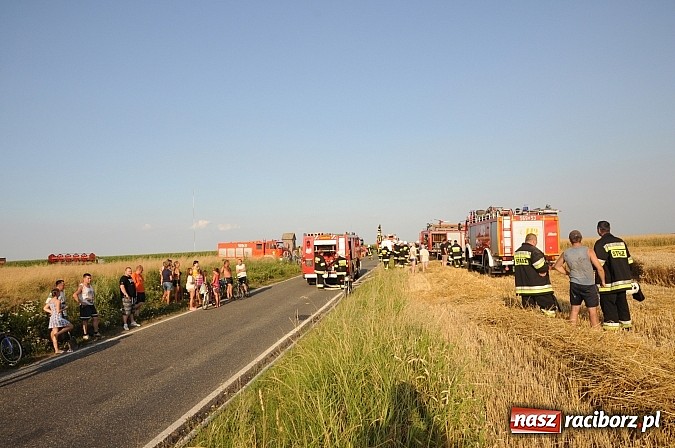 Zdjęcie w galerii na portalu naszraciborz.pl: Pożar w Pietraszynie. Strażacy ratowali zboże wiadomości z regionu
