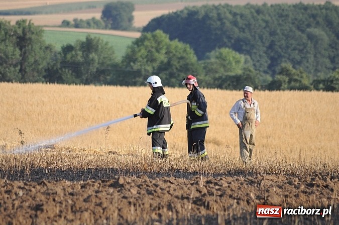 Zdjęcie w galerii na portalu naszraciborz.pl: Pożar w Pietraszynie. Strażacy ratowali zboże wiadomości z regionu