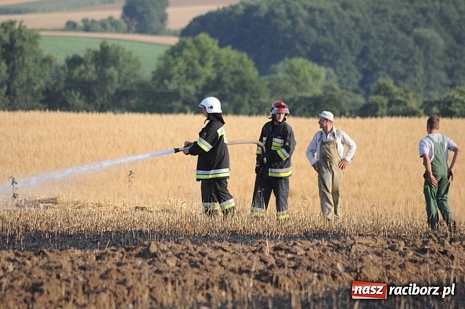 Zdjęcie w galerii na portalu naszraciborz.pl: Pożar w Pietraszynie. Strażacy ratowali zboże wiadomości z regionu
