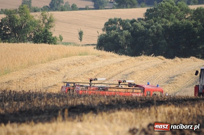Zdjęcie w galerii na portalu naszraciborz.pl: Pożar w Pietraszynie. Strażacy ratowali zboże wiadomości z regionu