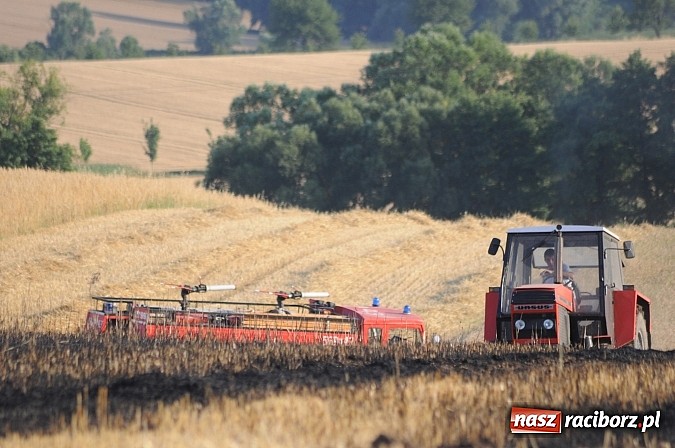 Zdjęcie w galerii na portalu naszraciborz.pl: Pożar w Pietraszynie. Strażacy ratowali zboże wiadomości z regionu