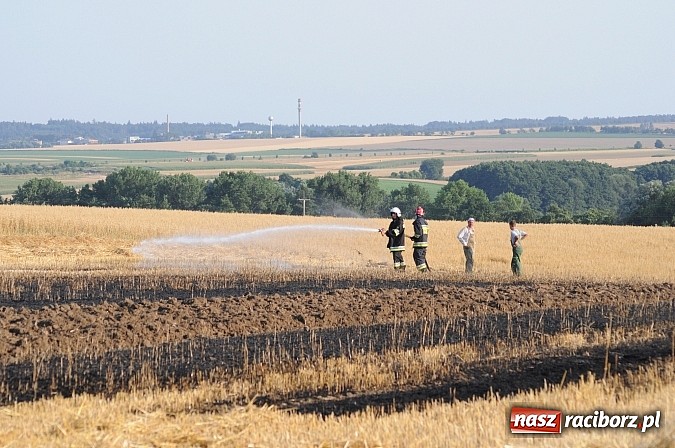 Zdjęcie w galerii na portalu naszraciborz.pl: Pożar w Pietraszynie. Strażacy ratowali zboże wiadomości z regionu