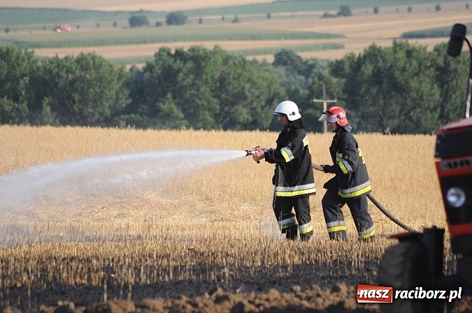 Zdjęcie w galerii na portalu naszraciborz.pl: Pożar w Pietraszynie. Strażacy ratowali zboże wiadomości z regionu