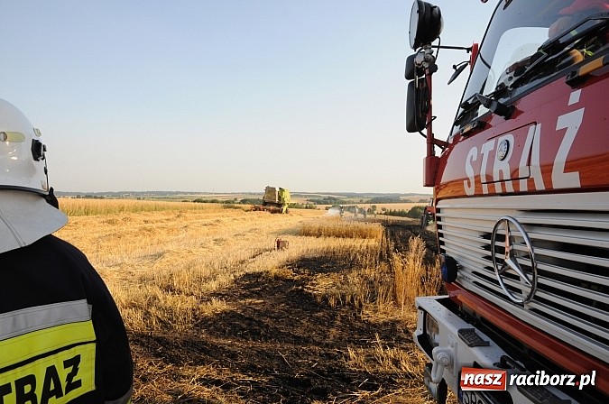 Zdjęcie w galerii na portalu naszraciborz.pl: Pożar w Pietraszynie. Strażacy ratowali zboże wiadomości z regionu