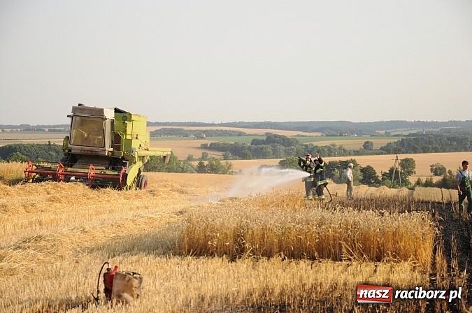 Zdjęcie w galerii na portalu naszraciborz.pl: Pożar w Pietraszynie. Strażacy ratowali zboże wiadomości z regionu