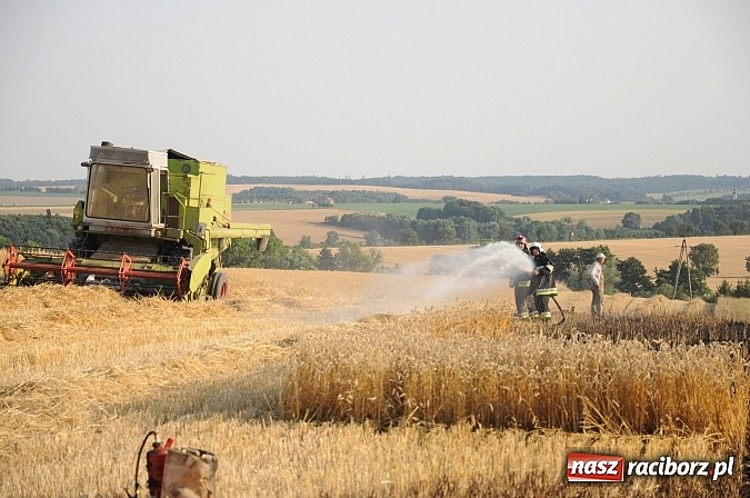 Zdjęcie w galerii na portalu naszraciborz.pl: Pożar w Pietraszynie. Strażacy ratowali zboże wiadomości z regionu