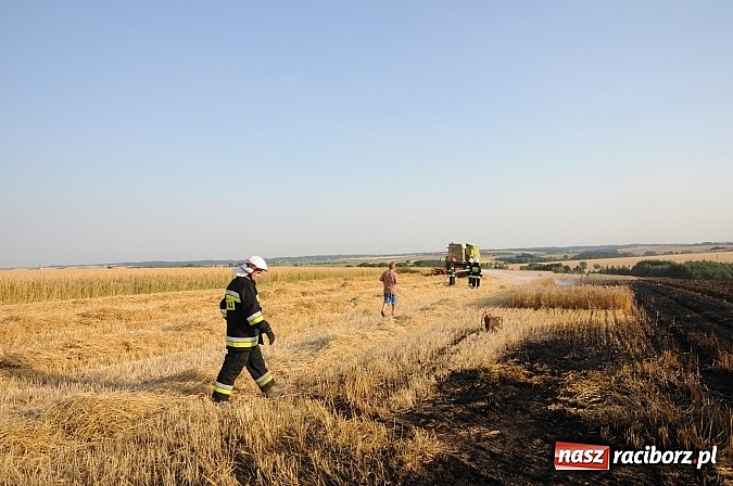 Zdjęcie w galerii na portalu naszraciborz.pl: Pożar w Pietraszynie. Strażacy ratowali zboże wiadomości z regionu