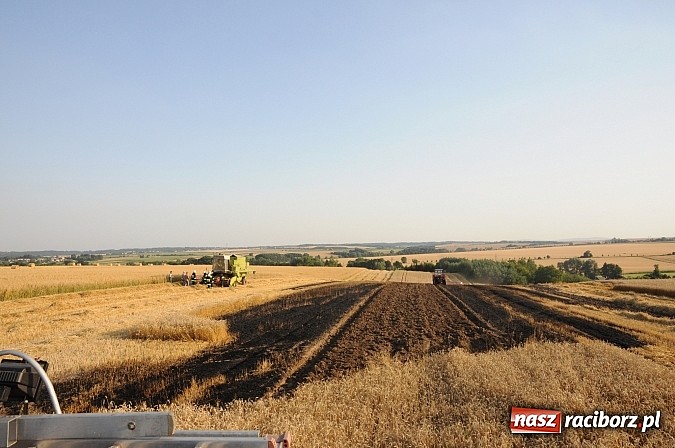 Zdjęcie w galerii na portalu naszraciborz.pl: Pożar w Pietraszynie. Strażacy ratowali zboże wiadomości z regionu