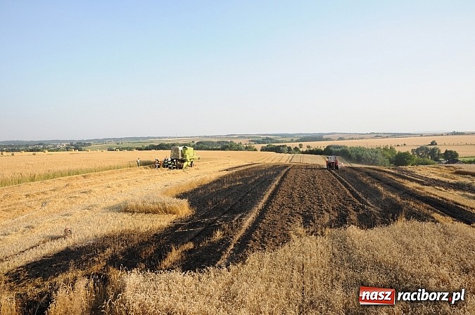 Zdjęcie w galerii na portalu naszraciborz.pl: Pożar w Pietraszynie. Strażacy ratowali zboże wiadomości z regionu