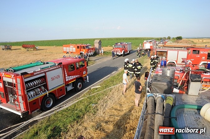 Zdjęcie w galerii na portalu naszraciborz.pl: Pożar w Pietraszynie. Strażacy ratowali zboże wiadomości z regionu
