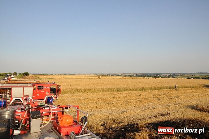 Zdjęcie w galerii na portalu naszraciborz.pl: Pożar w Pietraszynie. Strażacy ratowali zboże wiadomości z regionu