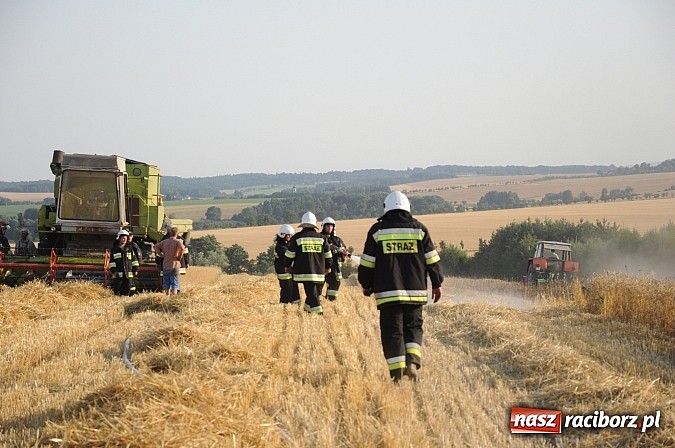 Zdjęcie w galerii na portalu naszraciborz.pl: Pożar w Pietraszynie. Strażacy ratowali zboże wiadomości z regionu