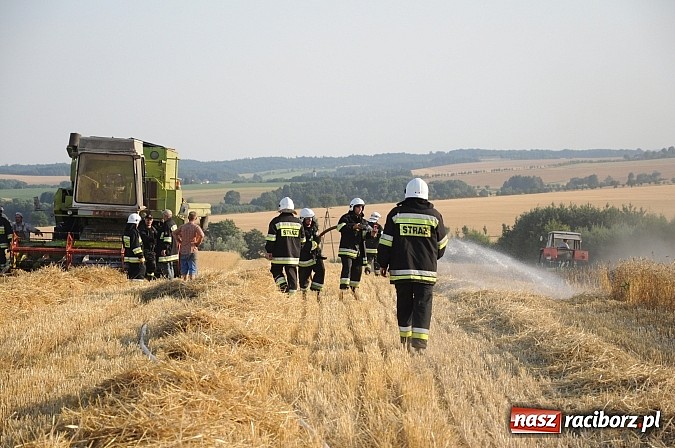 Zdjęcie w galerii na portalu naszraciborz.pl: Pożar w Pietraszynie. Strażacy ratowali zboże wiadomości z regionu