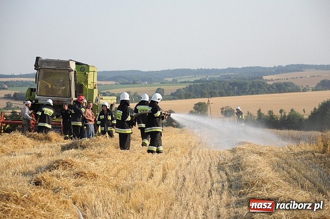 Zdjęcie w galerii na portalu naszraciborz.pl: Pożar w Pietraszynie. Strażacy ratowali zboże wiadomości z regionu