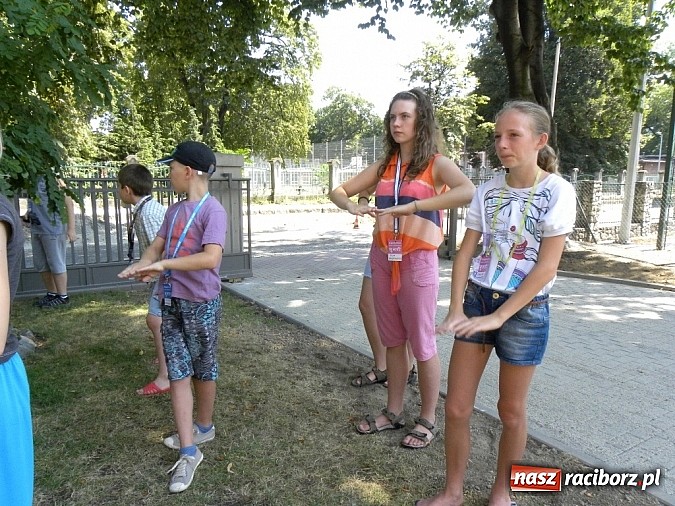 Zdjęcie w galerii na portalu naszraciborz.pl: Czy Wielki Mur Chiński jest widoczny z kosmosu? wiadomości z regionu