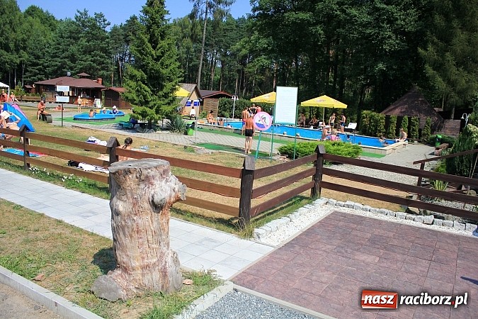 Zdjęcie w galerii na portalu naszraciborz.pl: Leśna Polana: Skok do wody dla ochłody wiadomości z regionu