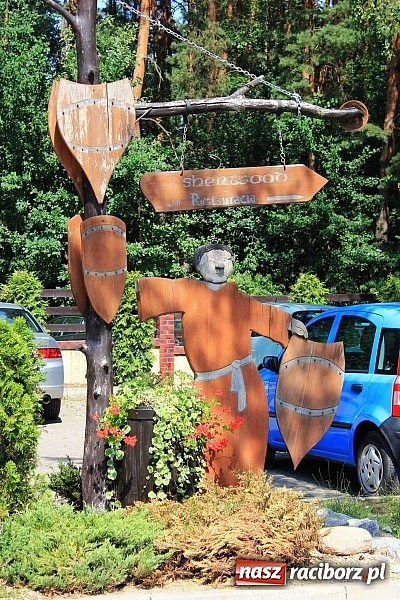 Zdjęcie w galerii na portalu naszraciborz.pl: Leśna Polana: Skok do wody dla ochłody wiadomości z regionu