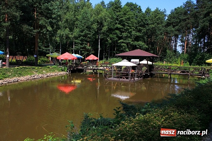 Zdjęcie w galerii na portalu naszraciborz.pl: Leśna Polana: Skok do wody dla ochłody wiadomości z regionu