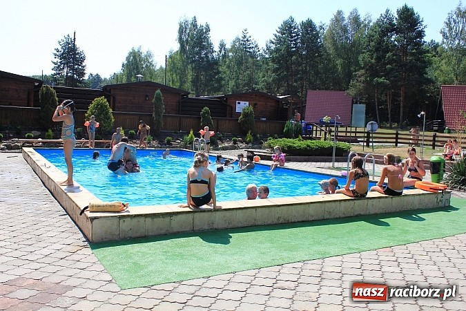Zdjęcie w galerii na portalu naszraciborz.pl: Leśna Polana: Skok do wody dla ochłody wiadomości z regionu