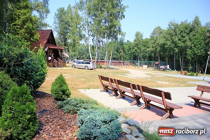 Zdjęcie w galerii na portalu naszraciborz.pl: Leśna Polana: Skok do wody dla ochłody wiadomości z regionu