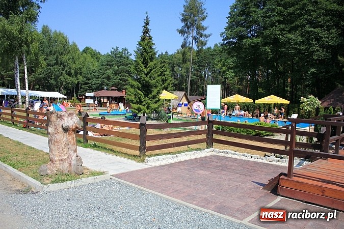 Zdjęcie w galerii na portalu naszraciborz.pl: Leśna Polana: Skok do wody dla ochłody wiadomości z regionu