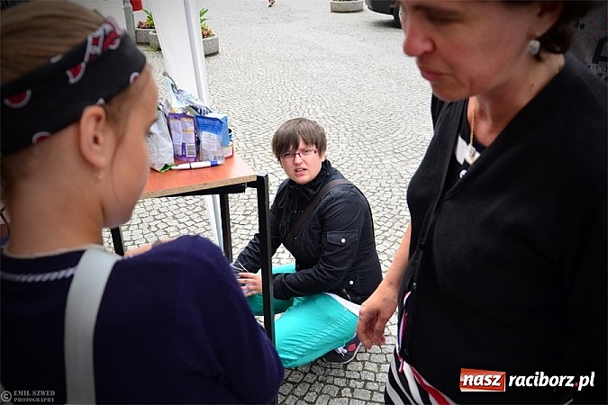 Zdjęcie w galerii na portalu naszraciborz.pl: I ty możesz przygarnąć kotka! wiadomości z regionu