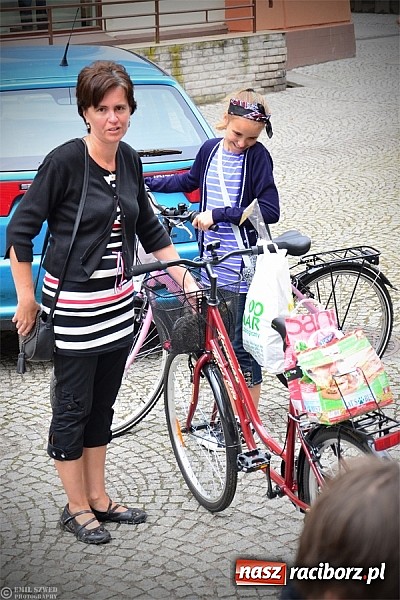 Zdjęcie w galerii na portalu naszraciborz.pl: I ty możesz przygarnąć kotka! wiadomości z regionu