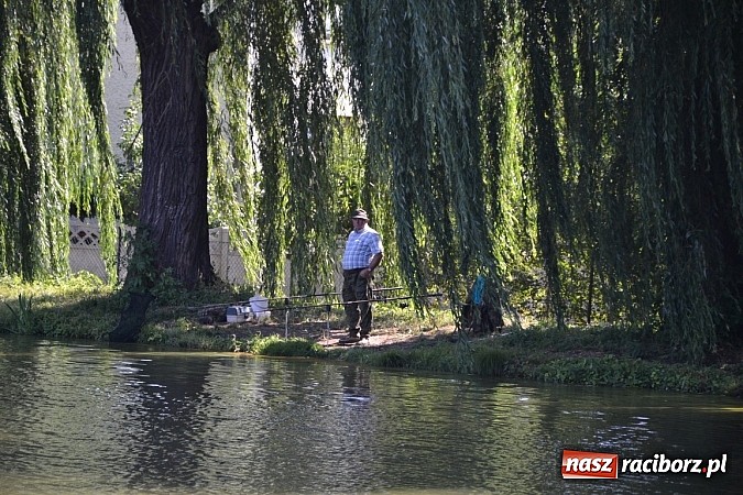 Zdjęcie w galerii na portalu naszraciborz.pl: Emeryci wędkowali na Trzecioku wiadomości z regionu