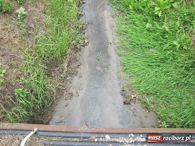Zdjęcie w galerii na portalu naszraciborz.pl: Rów przy Rzecznej jest zarośnięty i zanieczyszczony wiadomości z regionu