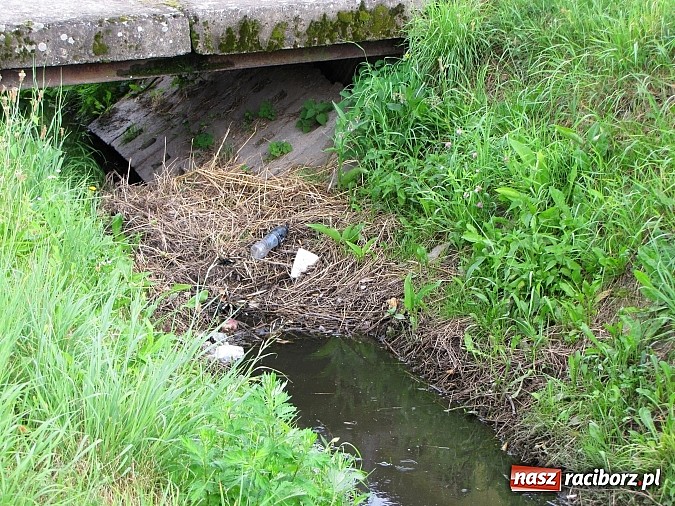 Zdjęcie w galerii na portalu naszraciborz.pl: Rów przy Rzecznej jest zarośnięty i zanieczyszczony wiadomości z regionu