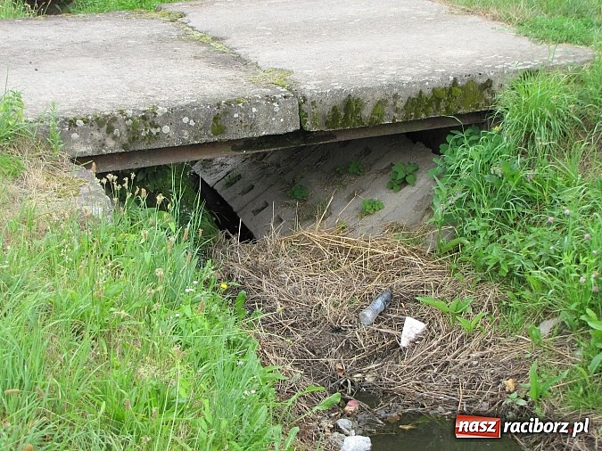Zdjęcie w galerii na portalu naszraciborz.pl: Rów przy Rzecznej jest zarośnięty i zanieczyszczony wiadomości z regionu