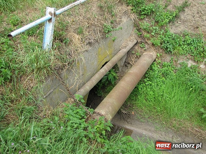 Zdjęcie w galerii na portalu naszraciborz.pl: Rów przy Rzecznej jest zarośnięty i zanieczyszczony wiadomości z regionu