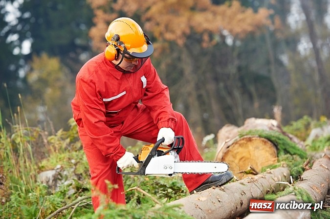 Zdjęcie w galerii na portalu naszraciborz.pl: Chroń swój słuch przed hałasem wiadomości z regionu