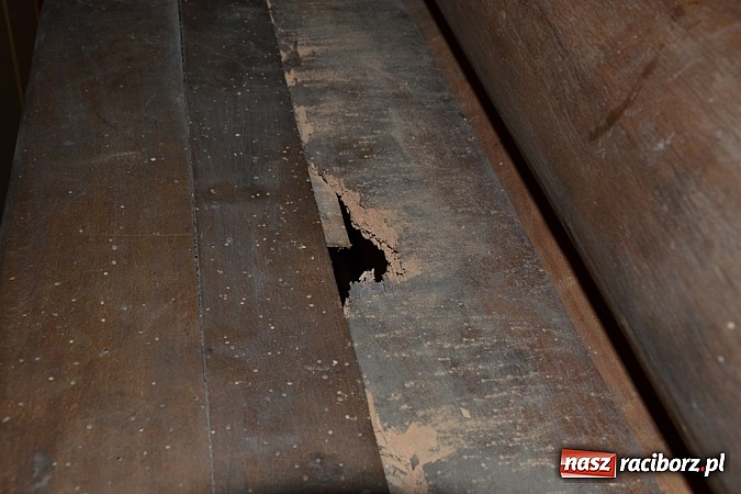 Zdjęcie w galerii na portalu naszraciborz.pl: Dzieci wypoczęły, wystawa zostanie… wiadomości z regionu