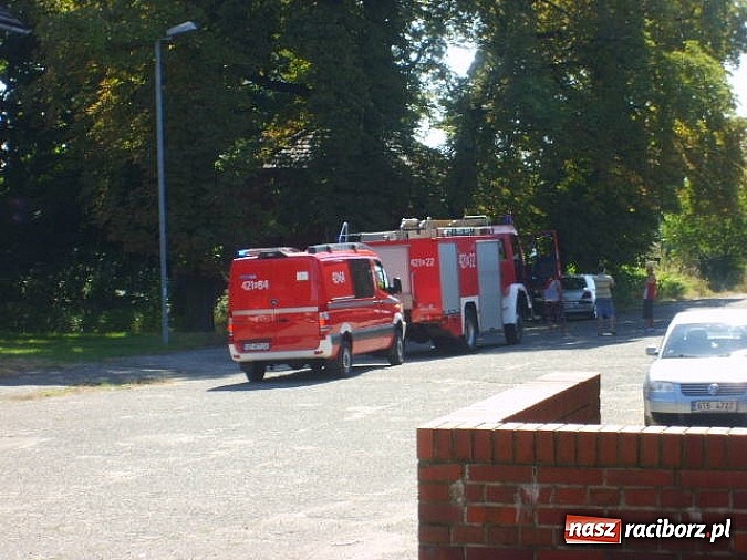Zdjęcie w galerii na portalu naszraciborz.pl: Wyciek gazu na stacji w Chałupkach. W akcji plutony chemiczne wiadomości z regionu