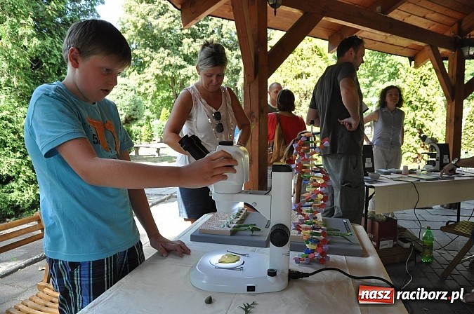 Zdjęcie w galerii na portalu naszraciborz.pl: Tłumy raciborzan świętowały dziś na kempingu Obora 20-lecie WFOŚiGW wiadomości z regionu