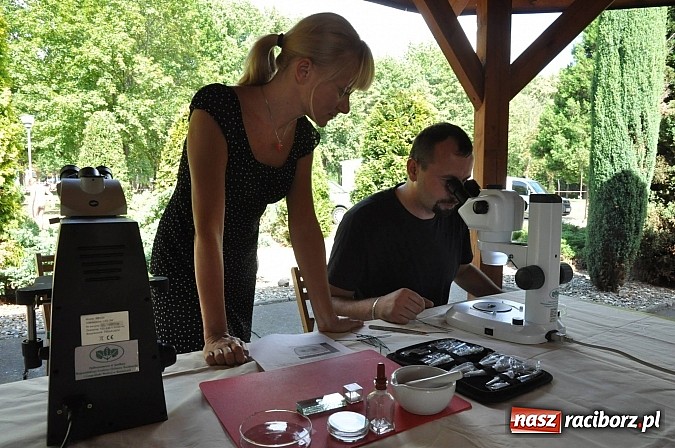 Zdjęcie w galerii na portalu naszraciborz.pl: Tłumy raciborzan świętowały dziś na kempingu Obora 20-lecie WFOŚiGW wiadomości z regionu