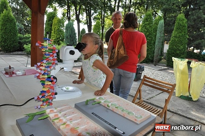 Zdjęcie w galerii na portalu naszraciborz.pl: Tłumy raciborzan świętowały dziś na kempingu Obora 20-lecie WFOŚiGW wiadomości z regionu