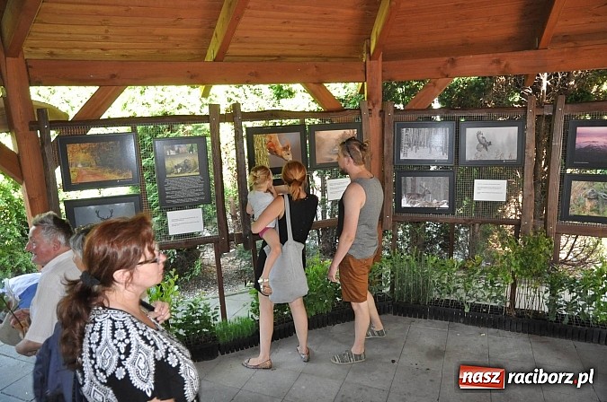 Zdjęcie w galerii na portalu naszraciborz.pl: Tłumy raciborzan świętowały dziś na kempingu Obora 20-lecie WFOŚiGW wiadomości z regionu