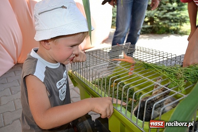 Zdjęcie w galerii na portalu naszraciborz.pl: Roszków z humorem dziękował za plony wiadomości z regionu