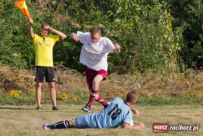 Zdjęcie w galerii na portalu naszraciborz.pl: LKS Rudnik triumfatorem Wojnowice Cup 2013 wiadomości z regionu