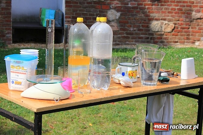 Zdjęcie w galerii na portalu naszraciborz.pl: Zuchy na Zamku. Lekcja przyrody pod chmurką wiadomości z regionu