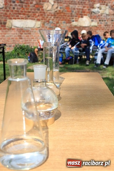 Zdjęcie w galerii na portalu naszraciborz.pl: Zuchy na Zamku. Lekcja przyrody pod chmurką wiadomości z regionu