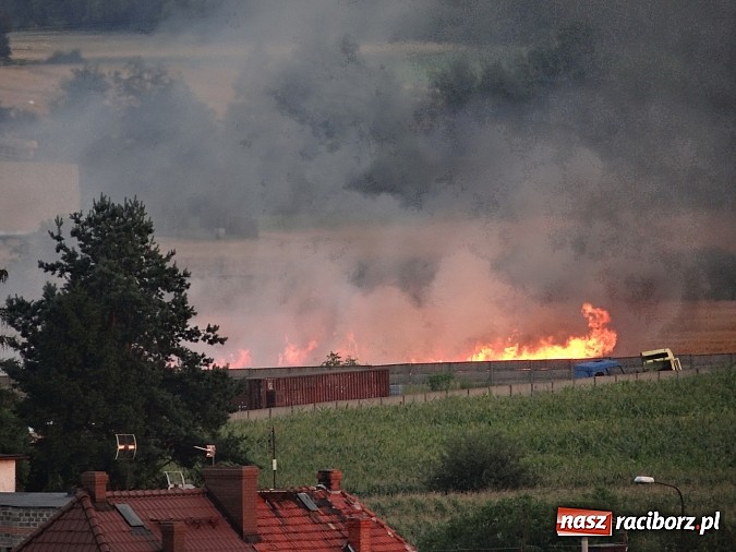 Zdjęcie w galerii na portalu naszraciborz.pl: Strażacy walczyli z wielkim pożarem ścierniska na polu przy Studziennej wiadomości z regionu